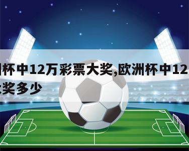 欧洲杯中12万彩票大奖,欧洲杯中12万彩票大奖多少