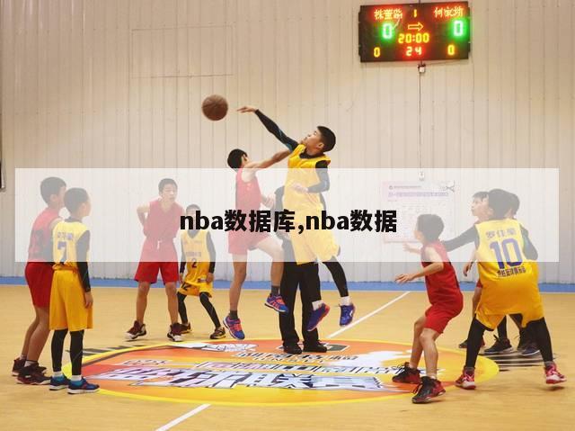 nba数据库,nba数据