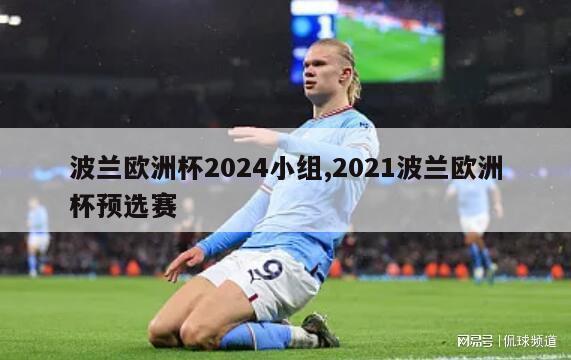 波兰欧洲杯2024小组,2021波兰欧洲杯预选赛