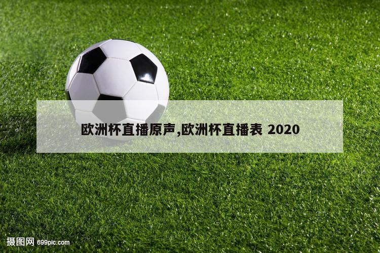 欧洲杯直播原声,欧洲杯直播表 2020