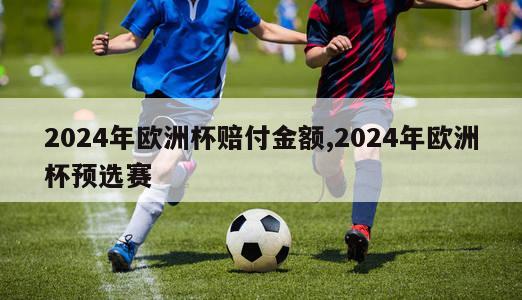 2024年欧洲杯赔付金额,2024年欧洲杯预选赛