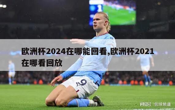 欧洲杯2024在哪能回看,欧洲杯2021在哪看回放