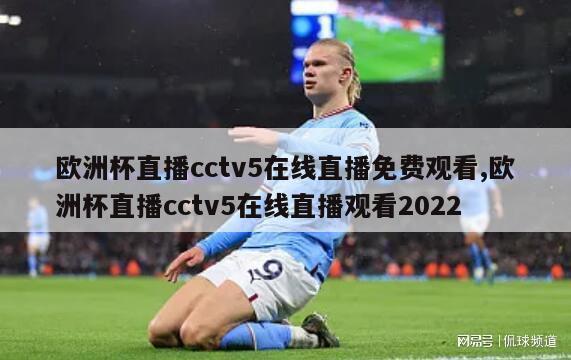 欧洲杯直播cctv5在线直播免费观看,欧洲杯直播cctv5在线直播观看2022