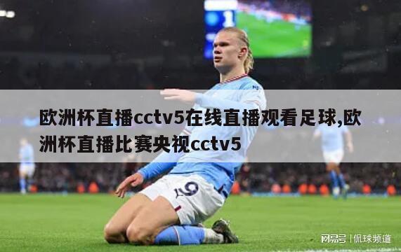 欧洲杯直播cctv5在线直播观看足球,欧洲杯直播比赛央视cctv5