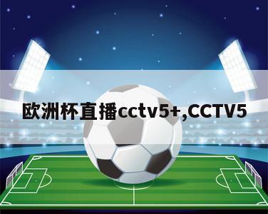 欧洲杯直播cctv5+,CCTV5