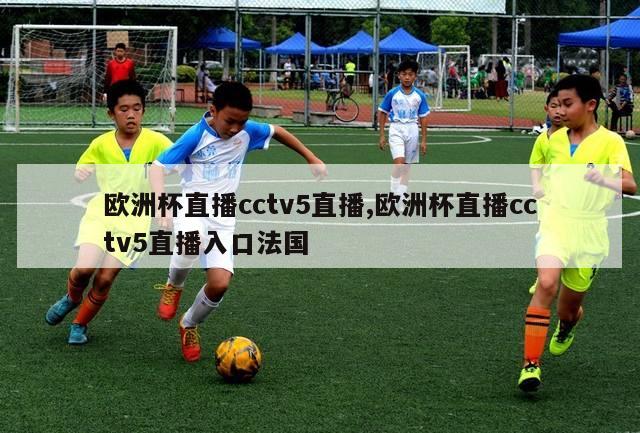 欧洲杯直播cctv5直播,欧洲杯直播cctv5直播入口法国