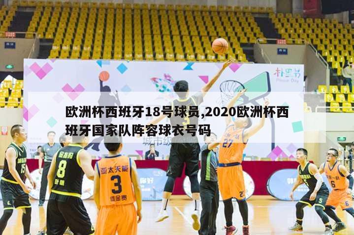 欧洲杯西班牙18号球员,2020欧洲杯西班牙国家队阵容球衣号码