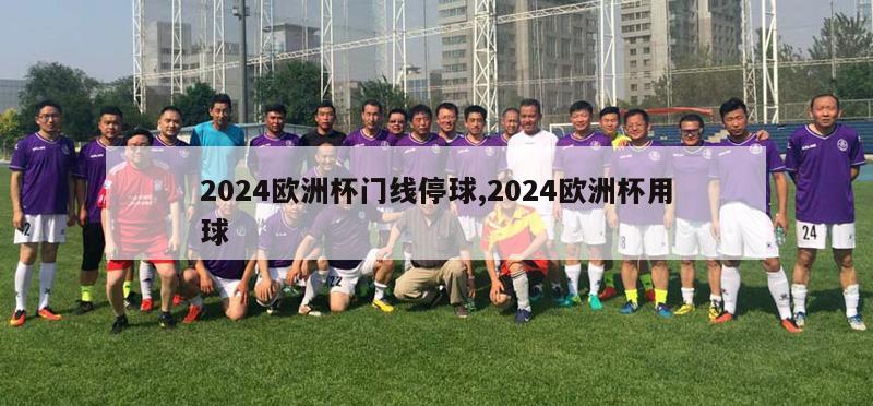 2024欧洲杯门线停球,2024欧洲杯用球