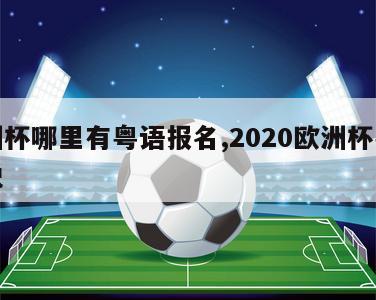 欧洲杯哪里有粤语报名,2020欧洲杯粤语解说