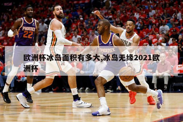 欧洲杯冰岛面积有多大,冰岛无缘2021欧洲杯