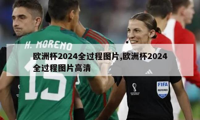 欧洲杯2024全过程图片,欧洲杯2024全过程图片高清